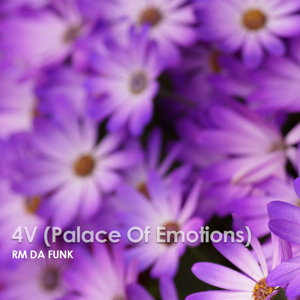RM DA FUNK 4V Palace Of Emotions 